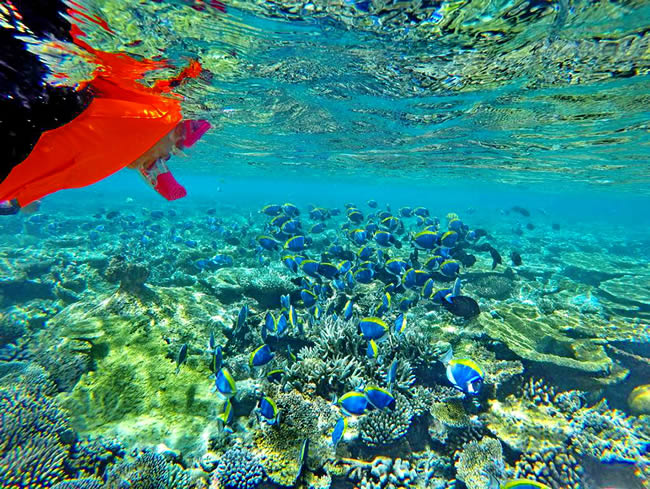 Подводный океан Мальдивы